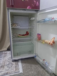 شغاله • نظيفه • السلام الفضيليه