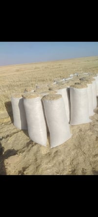 تبن • ناعم • كيس ٥٥