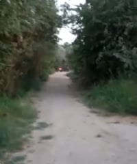دونم • بيت • الجماليه كربلاء