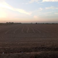 ٦ دونم • أرض جاهزة • للفلاحة