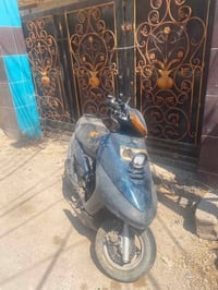 فراشة • ١٥٠ • شغاله