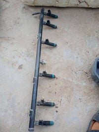تخم نوزلات مال كص شرط اصلي