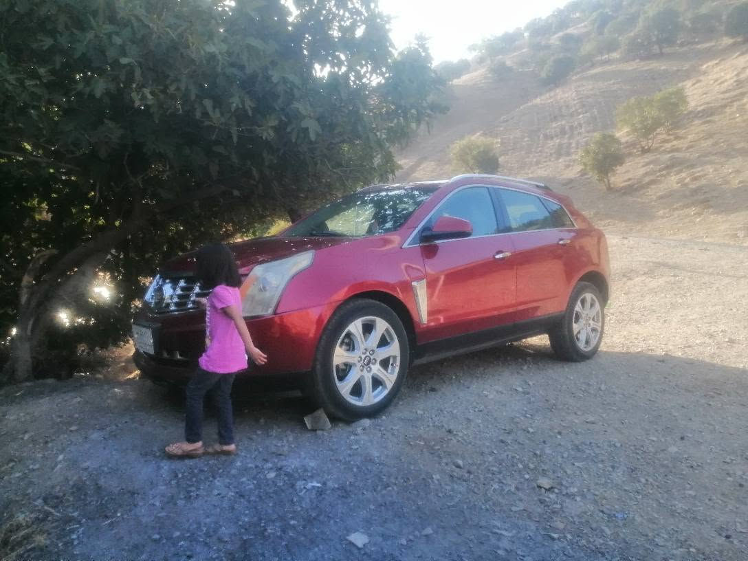 كاديلاك 2013 srx  محرك ٣٦٠٠  بانزين عادي فول الفول  مواصفات  رقم بغداد مشروع وطني باسمي تحويل ثاني يوم مصبوغة  لغود وشواصي وبراكيت مكفول كير محرك ممتاز ترايك وين ما يعجبك  *********** بغداد, العراق

نص مكتوب في الصور:
- 11 من 16
- 6 من 16
- 4 من 16
