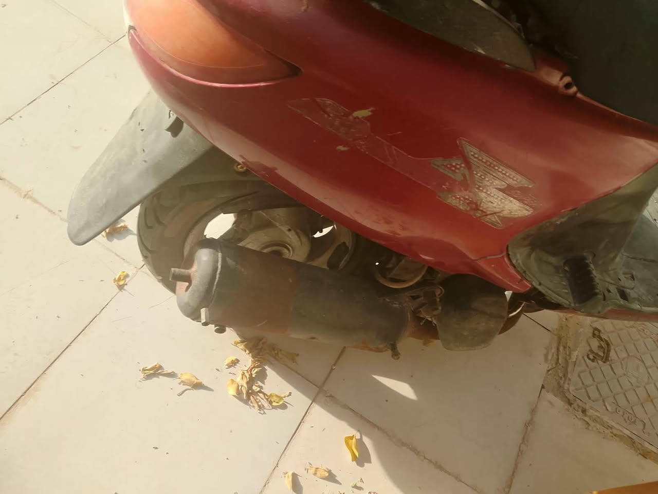 دراجة فراشة للبيع كهربائيات كلها شغاله دراجة بس كابريتر الا تخنكها يلا تشتغل وين ما يعجبك روح بيها مابيها نقص 200 وبيها مجال مكاني مركز 
رقمي ***********
(ادمن وافق)
