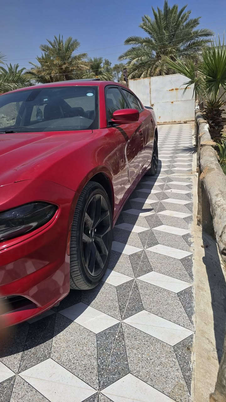 السلام عليكم
للبيع جارجر sxt

موديل ٢٠١٧ كفاله عامه
كشن ميموري 

رقم اربيل سنويه جديدة

تحويل او وكاله

المكان الديوانيه 

للاتصال ***********

السعر 215 مع المچال

