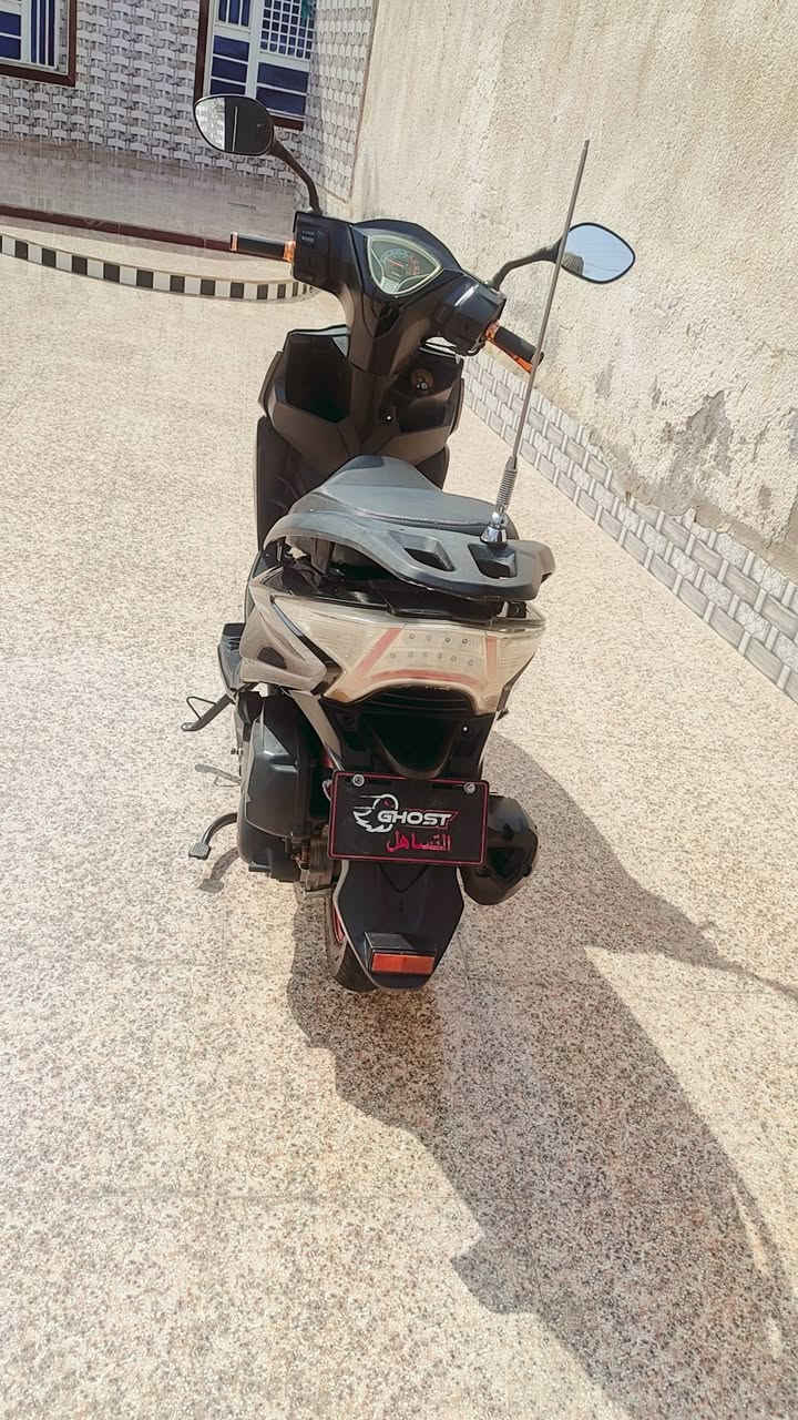 جامبو • كارتون • موديل٢٠٢٥