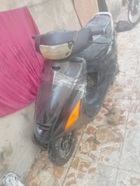 فراشه • هندر • شغاله