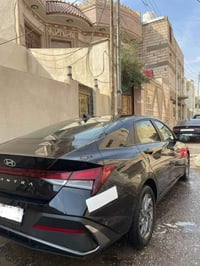 النترا ٢٠٢٤ • البصره الجنينه • مكفوله