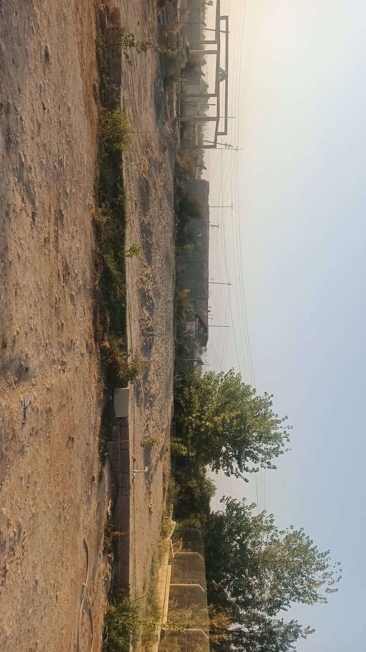طابو زراعي • ٣٤٠٠م • نخيل ٥٠