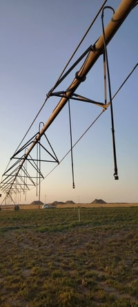 مرشة باور • نمساوي