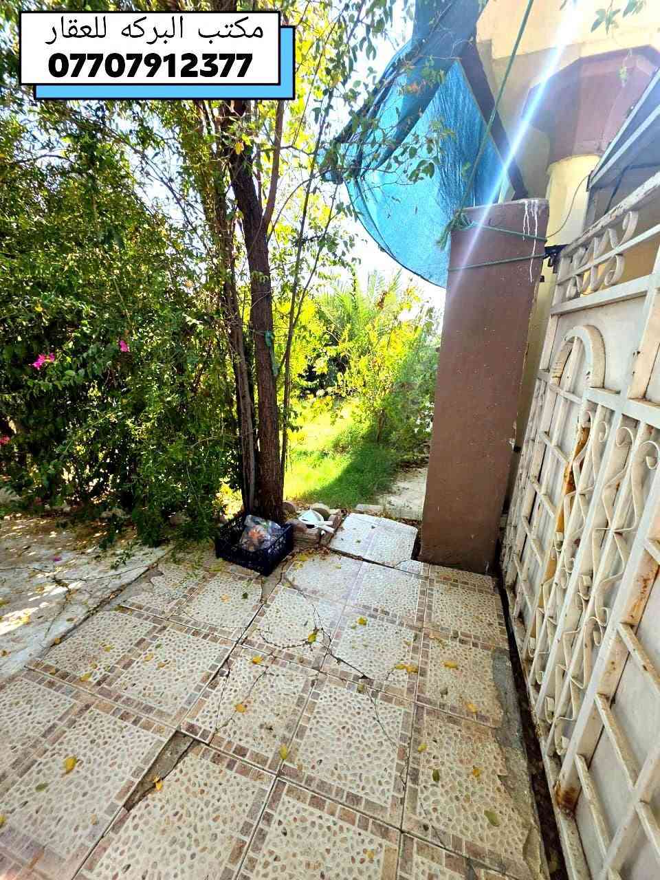خانقين • دار طابق واحد • ٢٧٠م