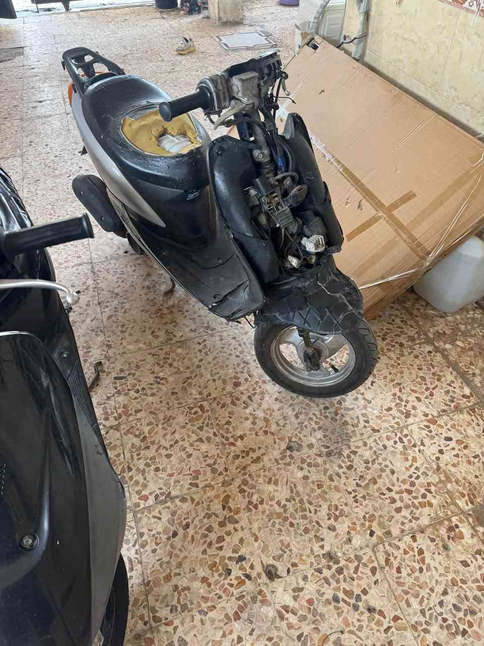 عصفوريه • ساسوكي • ٢