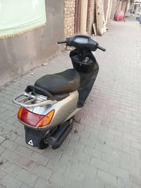 سبيسي • كفال عام • مجال قليل