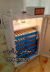 فقاعة المنيوم • ٤٣٢ بيضة • فول اوتوماتيك