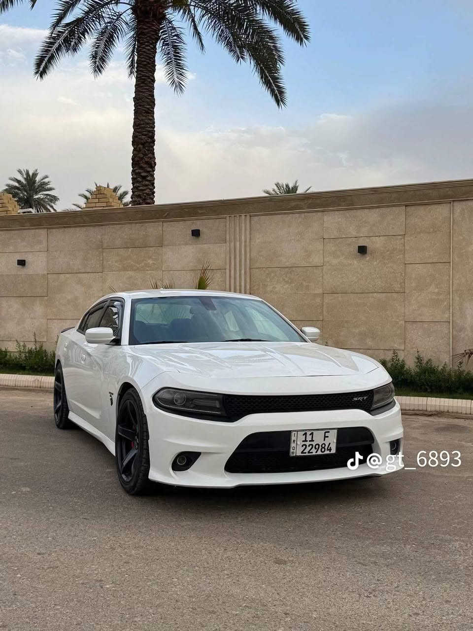 جارجر RT • ٢٠١٨ • ١٣١ كيلو