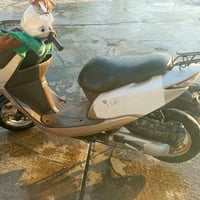 أبو سله • نوزل بلاديه • مامفتوحه