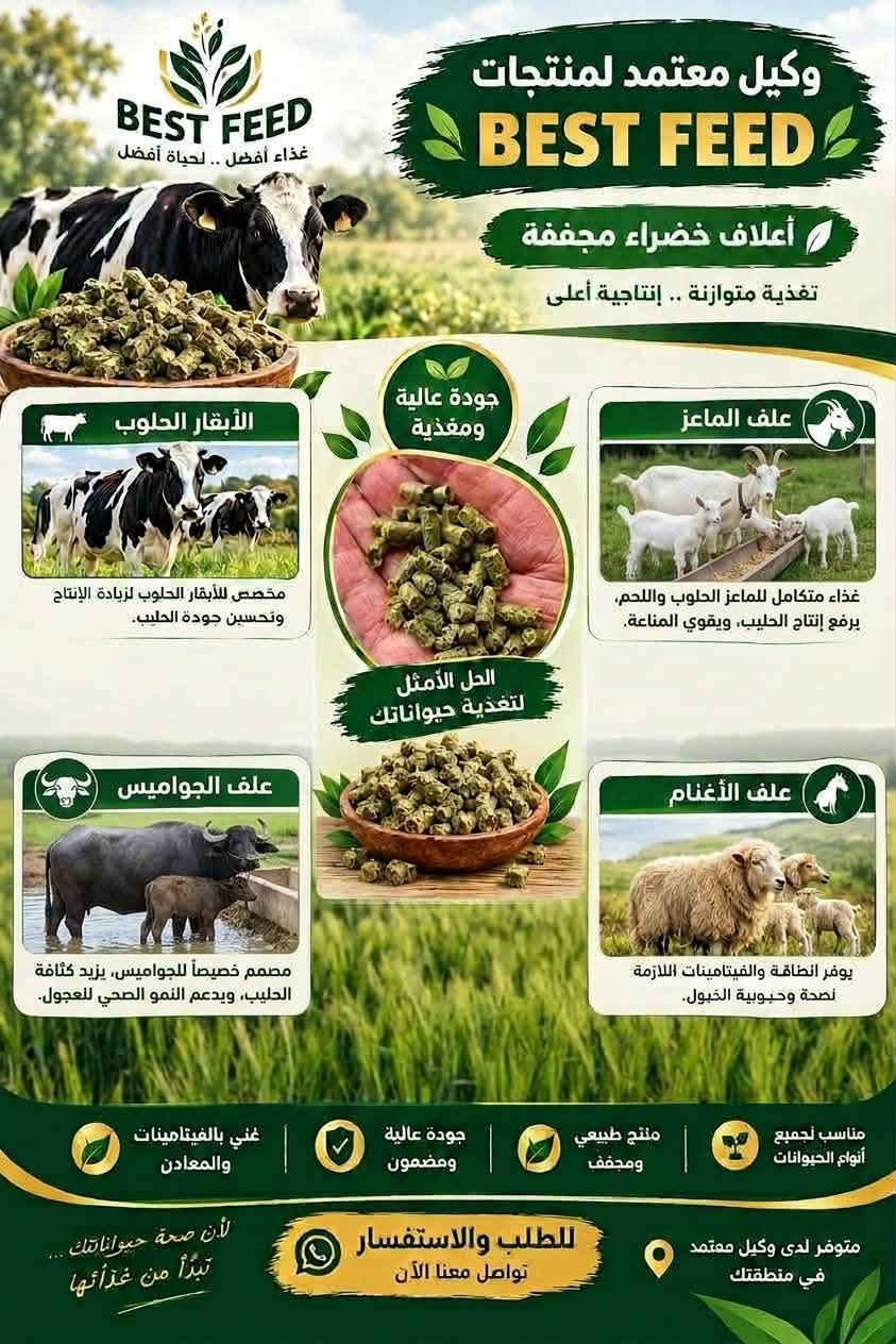 وكيل BEST FEED • أعلاف خضراء مجففة • علف الحليب