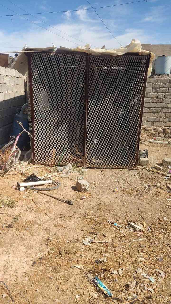 قفص • ٣.١×٢.٤×٢.٤م • تفاوض