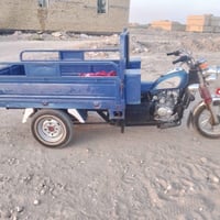 ستوته • جمرة فحل • موديل 19
