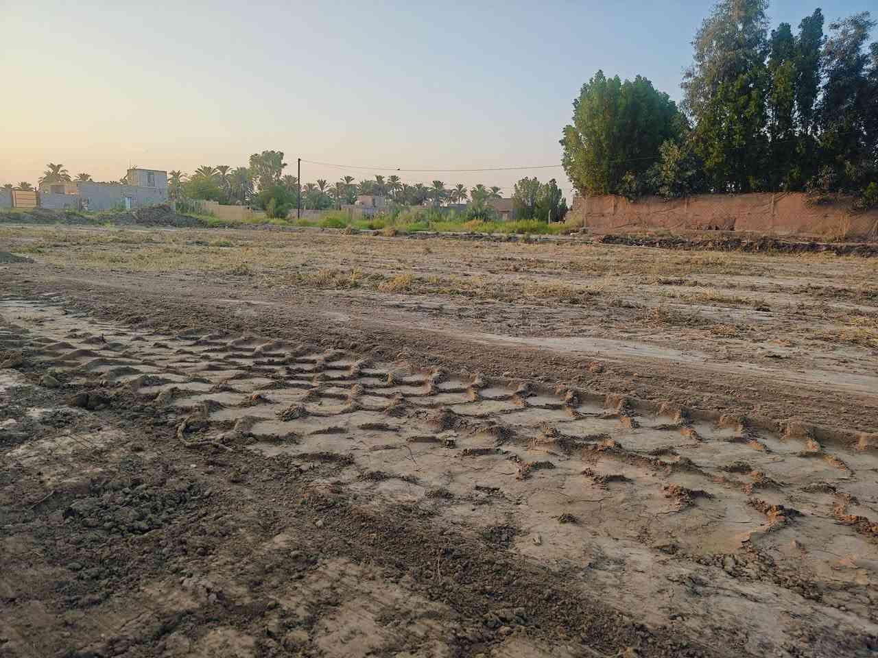 قضاء السدير • طابو زراعي • سند ٢٥
