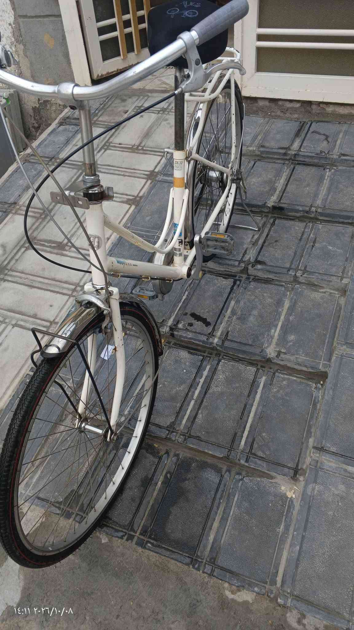 باسكل • نضيف • نجف مشخاب