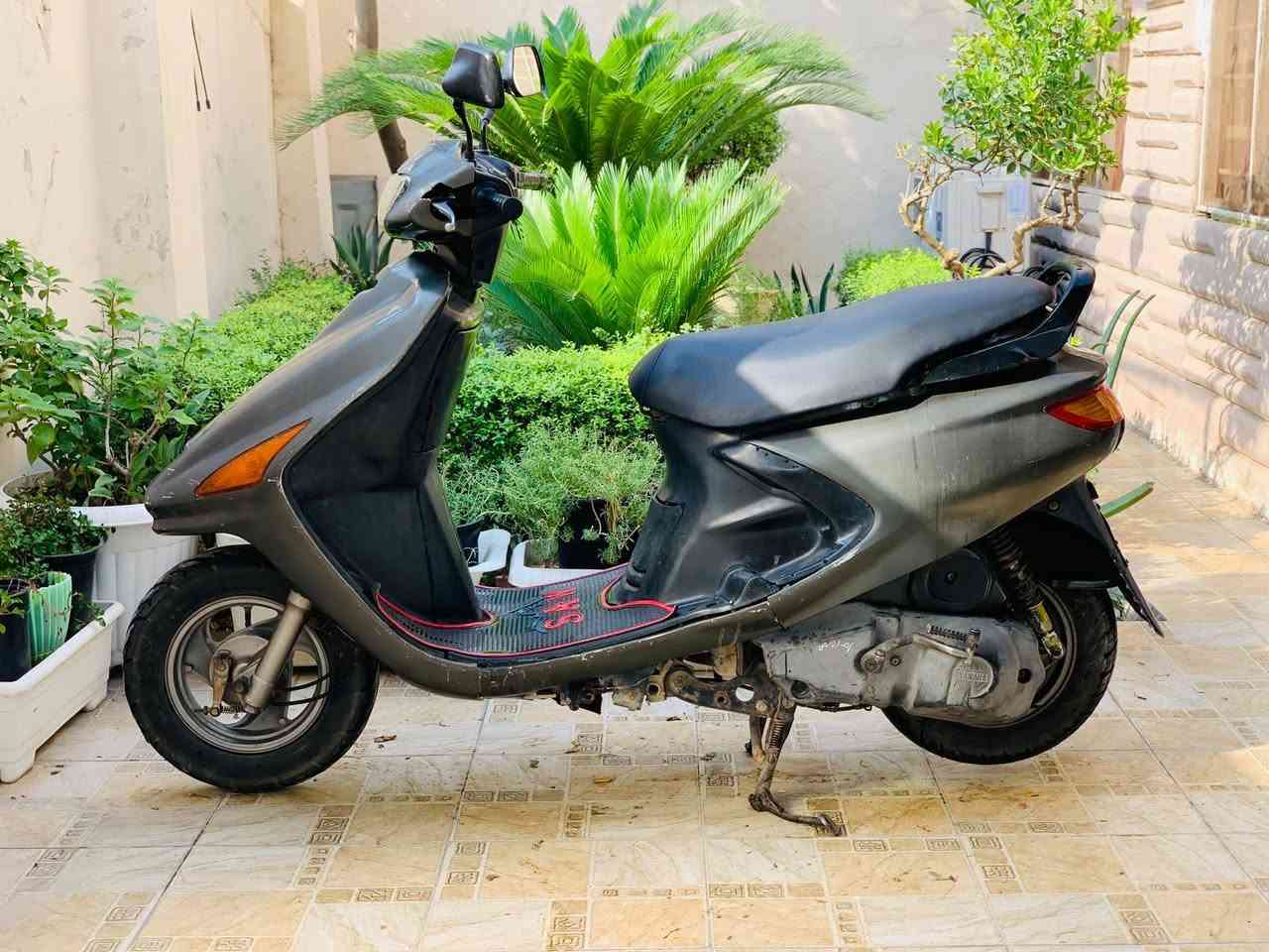فراشة كرستال • مكفولة • حله مركز