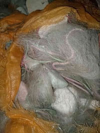 غزل عين • خيط 18 • بصره ابو الخصيب