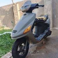 فراشة • فحل • مفتوحه