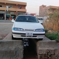 برنس دايو • موديل ٩٤ • بدون صبغ