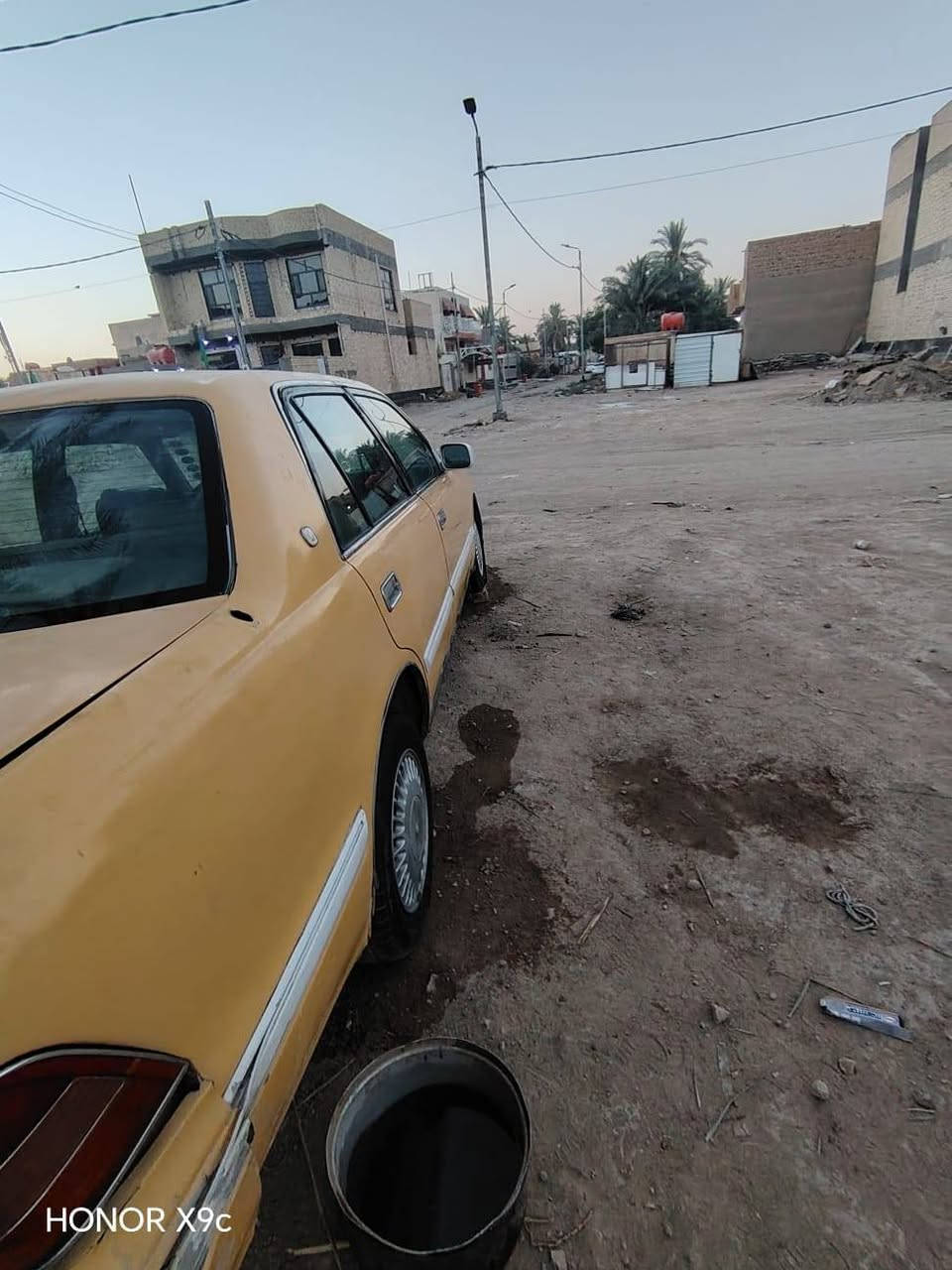 للبيع راس الثور أو مراوس #***********
