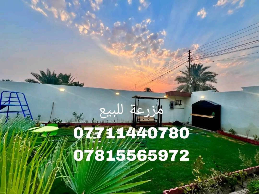 للبيع مزرعة مميزة جداً في منطقة البوعيثة 🌴✨
📍 الموقع: البوعيثة
📐 المساحة:625 م
🏡 مؤثثة بالكامل وجاهزة للسكن والاستثمار

تحتوي على:
✔️ غرفة نوم
✔️ صالة كبيرة
✔️ مطبخ
✔️ حمام
✔️ حديقة مرتبة وواسعة
✔️ ألعاب أطفال
✔️ مسبح بقياس 4×10 متر 🏊

مكان هادئ ومناسب للاستجمام أو الاستثمار العائلي 🌿

للاستفسار مراسلة الخاص  📩
او الاتصال على الارقام 
***********
***********

نص مكتوب في الصور:
- مزرعة للبيع *********** ***********
- مزرعة للبيع
- مزرعة للبيع.