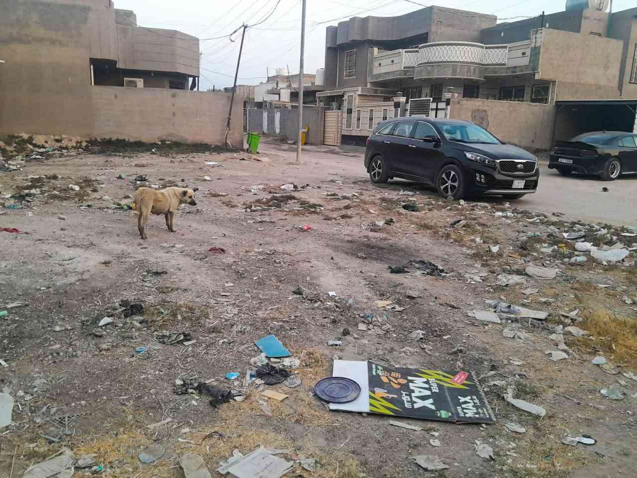 المسيب حي الجامعة • ٢٤٠م • طابو زراعي