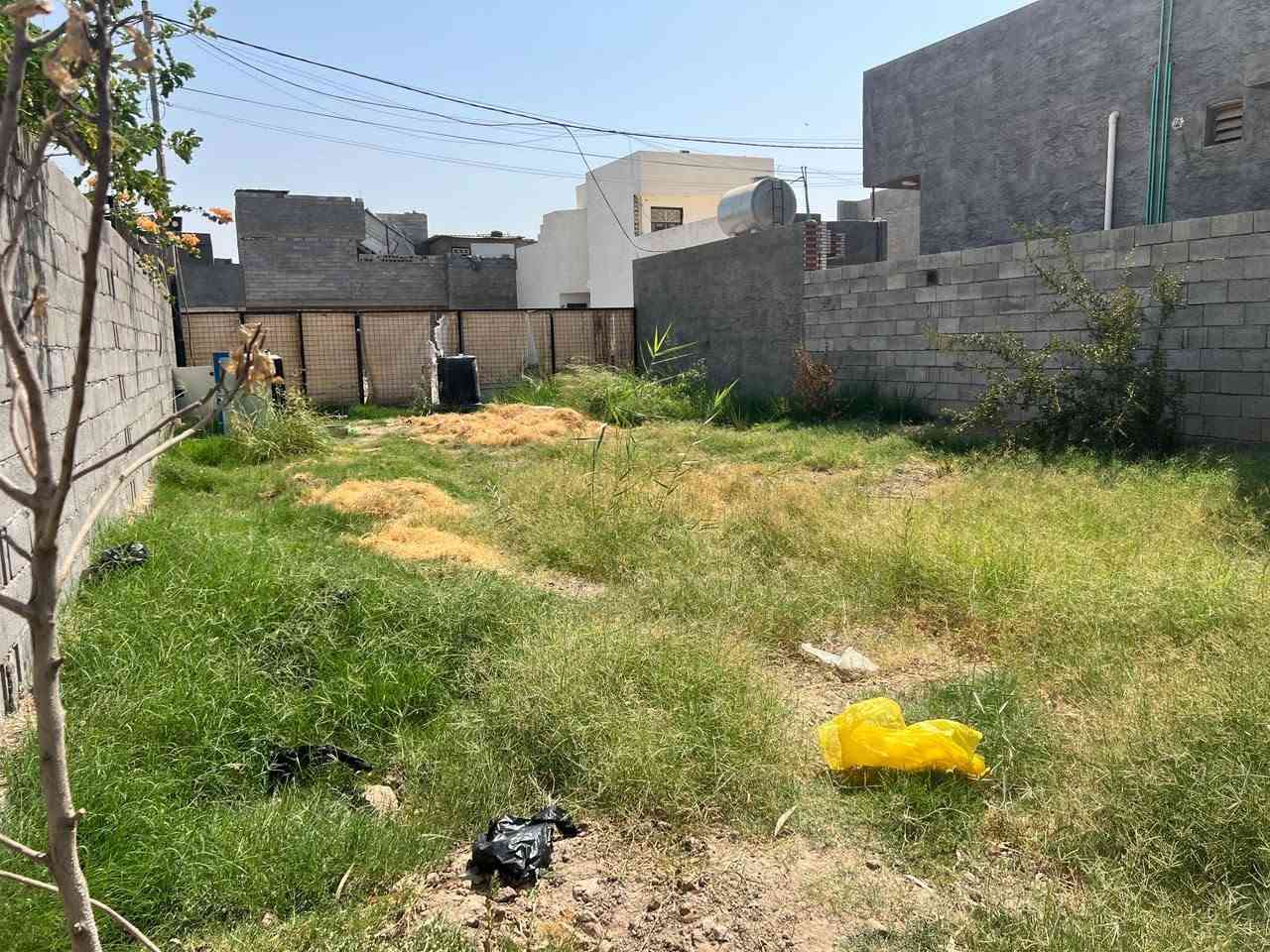 قطعة ارض المساحه   م250 
الوجه 10 النزال25

مدفونة وجاهزة 
خلف القطوف 
مجاور بيت عقيل سالم وعنتر
السعر ٢٧ مليون وبيها مجال للاستفسار الاتصال على الرقم ***********
