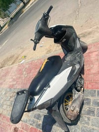 ماكس عدلة • سلف وهندل • ختم واحد
