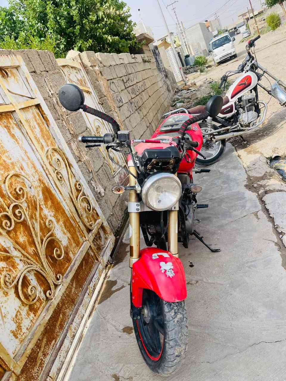 بطح ربع للبيع850 او مراوس حسب القناعه 
بيه خيط صرف احلى منل صوره 
العنوان كركوك قادسيه الثانيه 
***********
