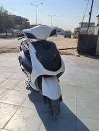 سكنس فحل • ياباني • نوزل خطين