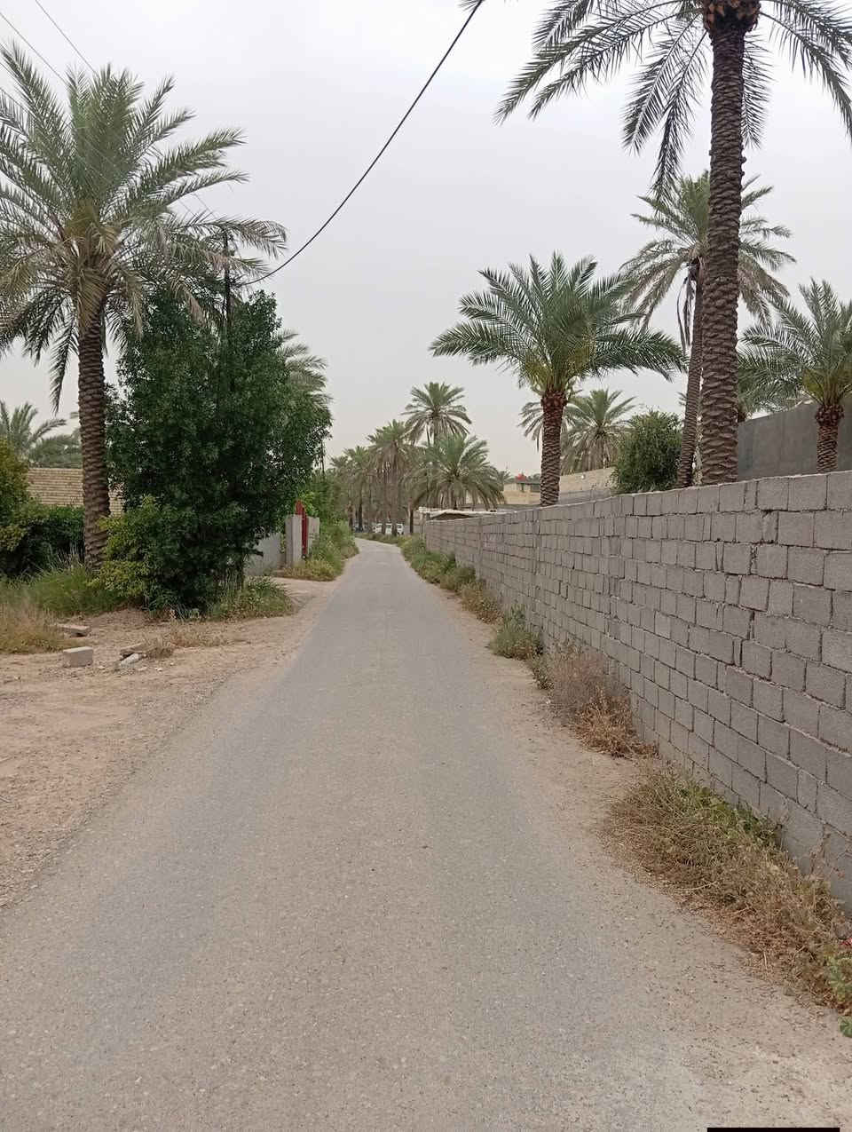 قطعة ارض ٨١٠م وجه20*40.5الصمدية مقابل جامع عقبة بن نافع تبعد عن السدة ١٥٠م زراعي ٢٥ من صاحب الأرض
للاتصال 
***********
***********
قطعة ارض ٨١٠م وجه20*40.5الصمدية مقابل جامع عقبة بن نافع تبعد عن السدة ١٥٠م زراعي ٢٥ من صاحب الأرض
