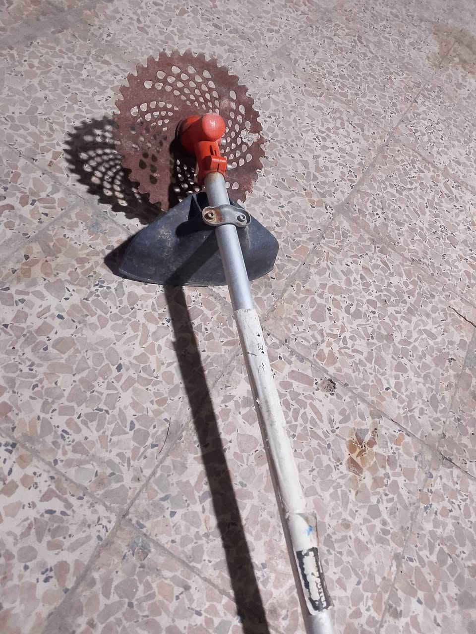 حاشوشه • مستخدمة أسبوع • للبيع