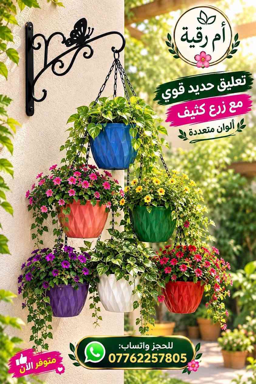 سنادين سقي ذاتي • تعليق حديد • أم رقية