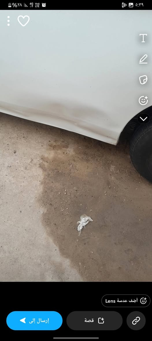 نيسان ١٤ كفاله ماعدى بارد قليل الباقي كفاله السعر ١٧٥ وبيهه مجال للاستفسار ***********
