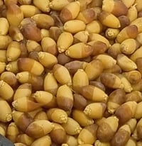 رطب • توصيل الرميثه • انواع