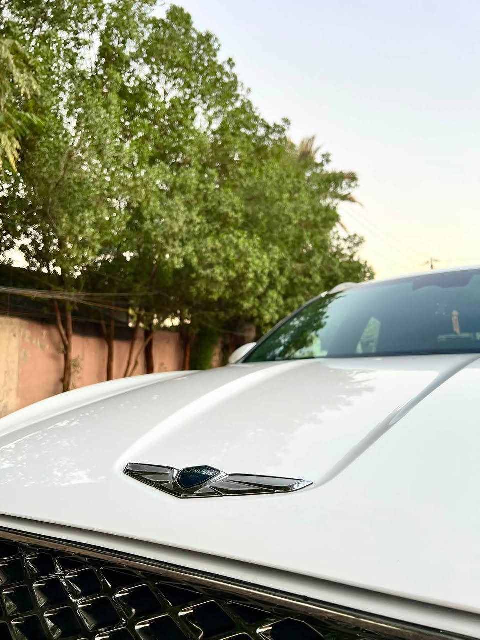 السلام عليكم جنسسز2023 GV70 
AWD .سبورت 
المسافه المقطوعه :الف20 وخمسميه كيلو
حجم المكينه : 3500 تون تيربو
الضرر : الدعامية و احافه البنيد بالاضافه إلى كلير الي يعرف بل جنسسز ابامريكا عدا البيبان الخلفيه والسياره بدون اي دواخل ولا ايرباك 
رقم الشاصي : KMUMCDTC0PU082284
رقم بغداد  بأسمي تحويل ثاني يوم 
 

السعر :(314)$ وبيها مجال 
***********
