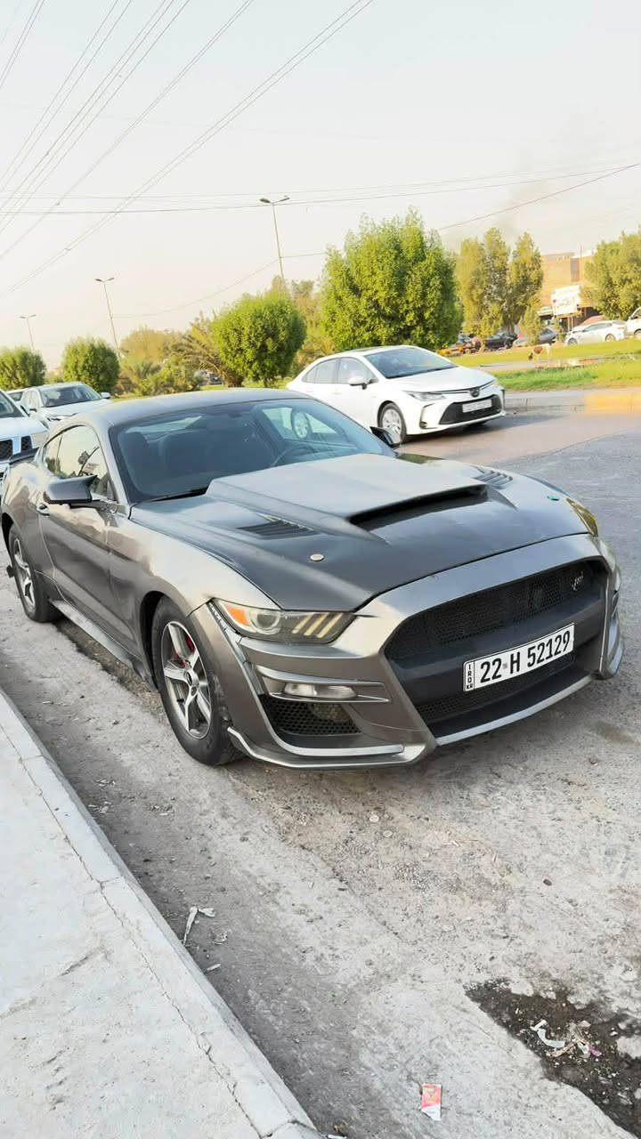 موستنك 2017 /3700/V6
ماشيه 155 الف كيلو متر 

الموصفات المعروفه 
تشغيل عن بعد عايها اكزوز بدون بوبابه
تبريد ثلج 
كير محرك مكفول 
لايت زنون متغير الاوان 
مصبوغه عام للجماليه 

حادث باب الي بصف السايق وبيها تعديل بالغد 
السعر 104 وبيها مجال 
للتواصل. *********** 
هذا مو سعرها بس مستعجل عله بيعتها
