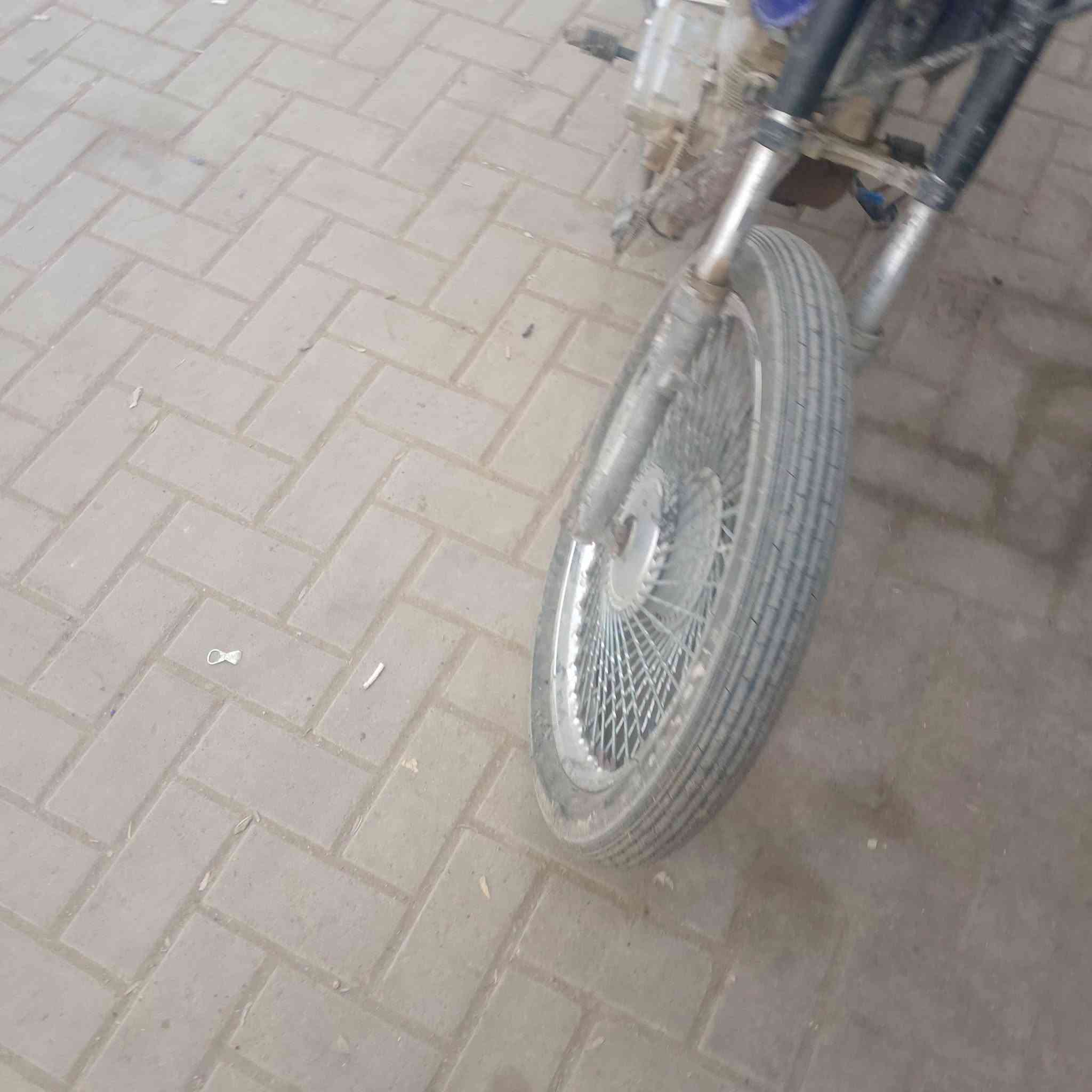 اربعه كير • كلك شغاله • المسيب