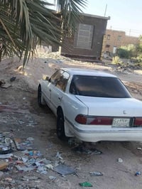 قصه قماره • بصره • القرنه