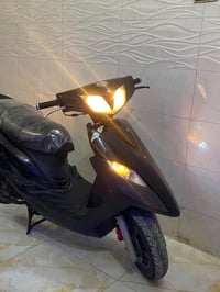 ثعلب • كابريتر • مكفول عام