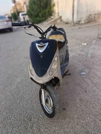 ماكس منغولي • ٥٥ • نضيف