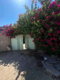 بغداد الحريه • ٢٠٠م • ٢ غرف نوم