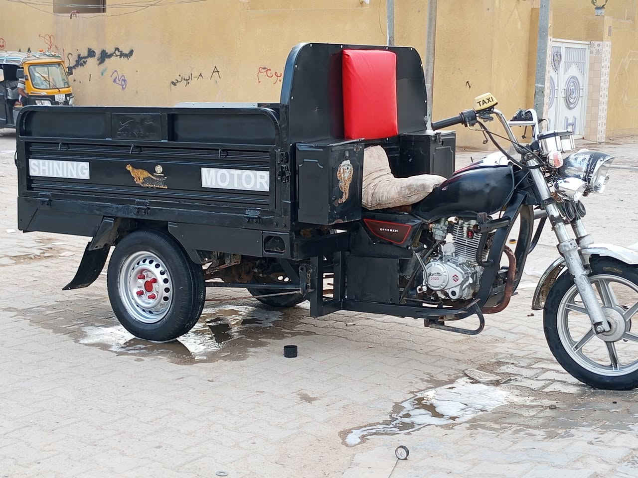 ستوته • موديل ١٧ • بدون اوراق