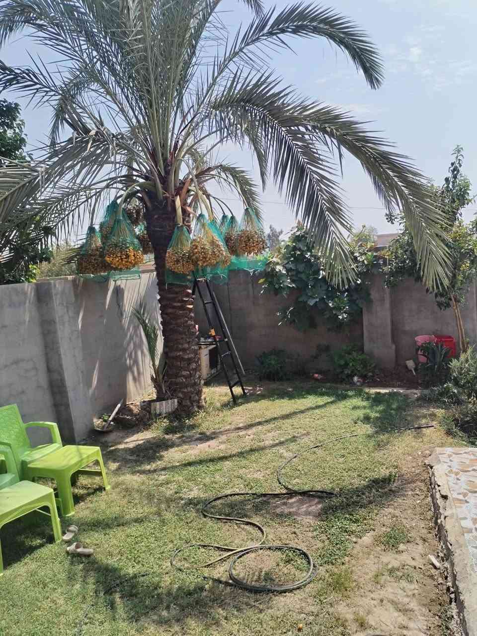نعلن لكم مشتمل طابو صرف سند 25 قرب شارع البورصه الرئيسي المساحه 318 متر واجها 15 نزال 21 الموقع حي الجمعيه قرب مدرسه القبس ومدرسه ابتدائيه  طيبة +  متكون من ربعه 7×4 وغرفه 5×4وصاله5×4ومطبخ4×4 وصحيات داخليه وصحيات خارجية موقع جيد منطقه سكنيه ومخدومه وسعر مناسب جداً اتصل وتدلل ***********
